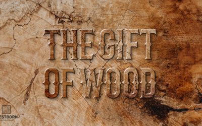The Gift of Wood